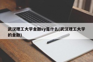 武汉理工大学金融sy是什么(武汉理工大学的金融)