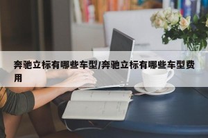 奔驰立标有哪些车型/奔驰立标有哪些车型费用