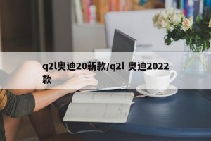 q2l奥迪20新款/q2l 奥迪2022款
