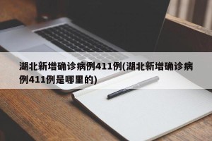 湖北新增确诊病例411例(湖北新增确诊病例411例是哪里的)