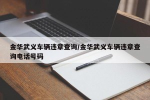 金华武义车辆违章查询/金华武义车辆违章查询电话号码